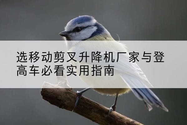 新洲电动升降机厂家-选移动剪叉升降机厂家与登高车必看实用指南