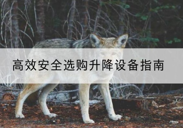 新洲升降货梯厂家推荐-*安全选购升降设备指南