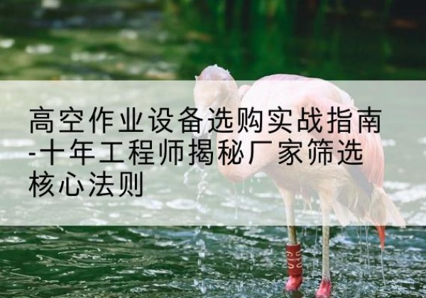新洲剪叉式升降机厂家-高空作业设备选购实战指南-十年工程师揭秘厂家筛选核心法则